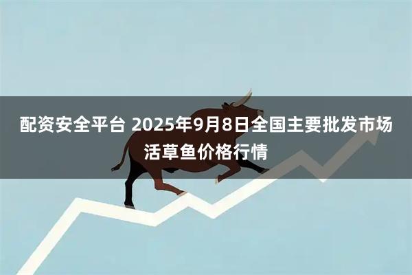 配资安全平台 2025年9月8日全国主要批发市场活草鱼价格行情